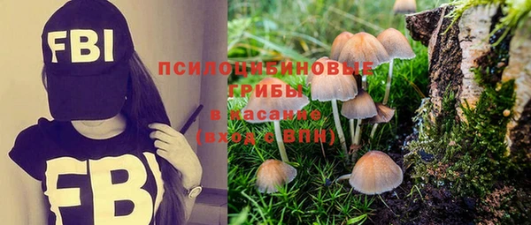 амфетамин Алексеевка