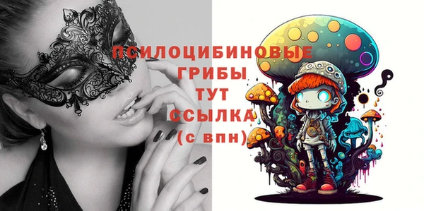 тгк Алексин