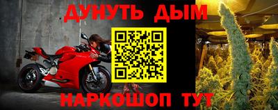 гидра Нальчик